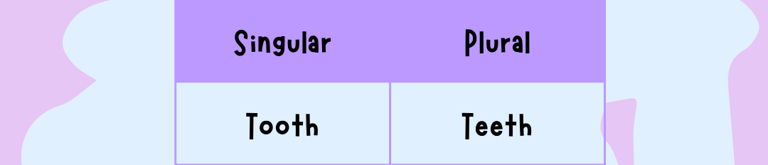 Nouns: singular and plural